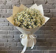 Букет цветов из:  Ромашки #REPLACE_PRED# Лоо