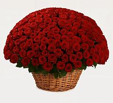 Премиум букет из: Розы в Лоо