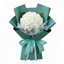Букет цветов из:  Гортензия в Лоо